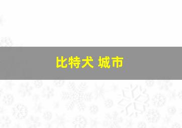 比特犬 城市